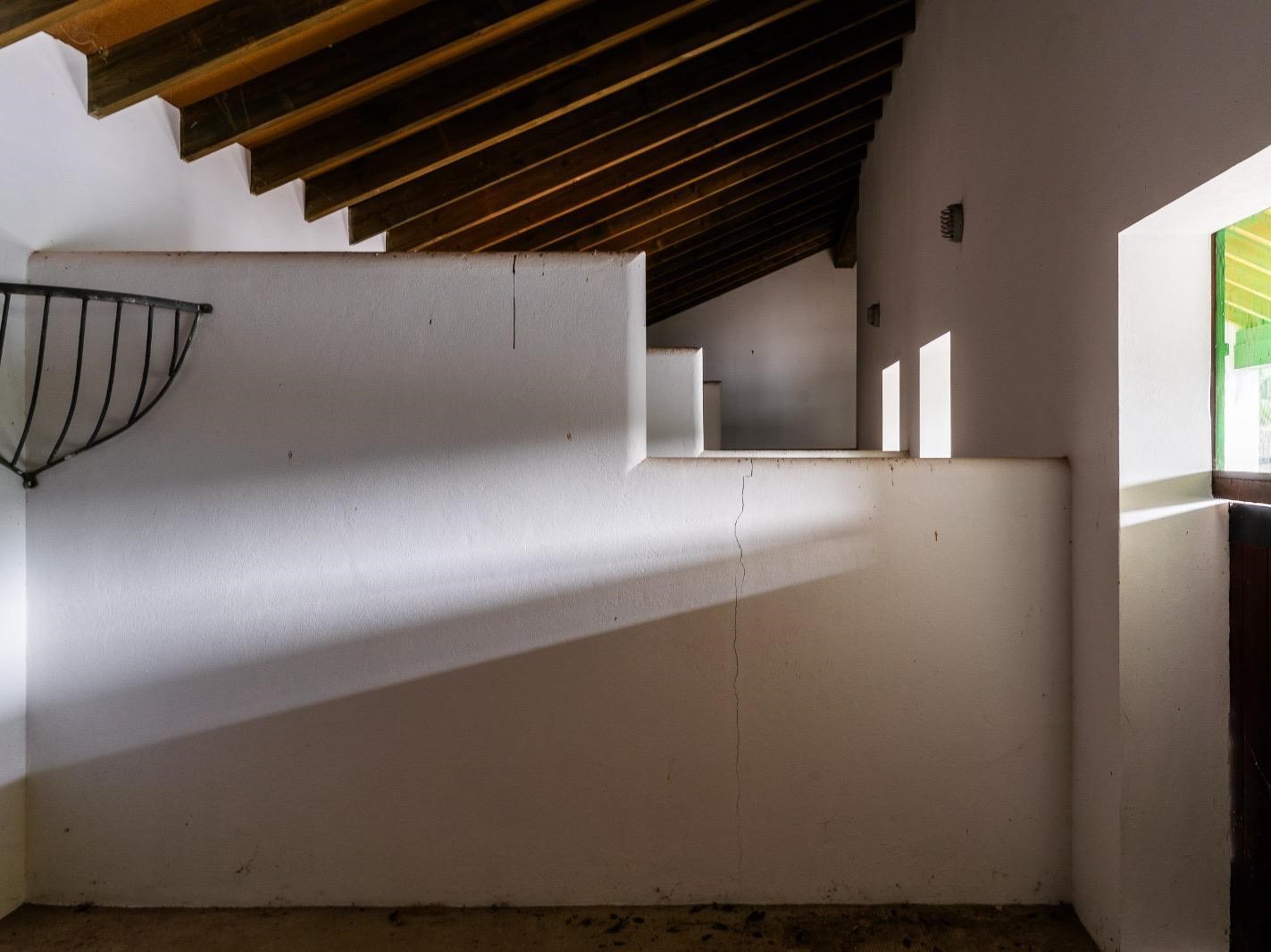 FINCA EN VEJER (COSTA)